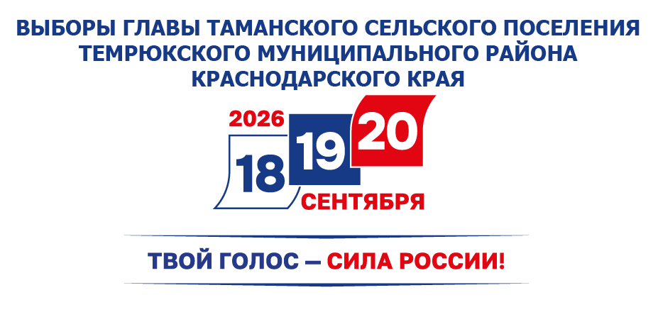 Выборы