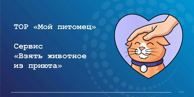 сервис «Взять животное из приюта»